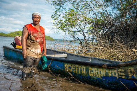 Rosa collects oyster shells among mangroves which serve as a protective ecosystem for the community of Punta de Miguel near Ecuador’s border with Colombia. Photo: WFP/Giulio d'Adamo