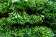 <em>Fresh greens at an organic market in Laos. Photo: WFP/Olga Nilova</em>