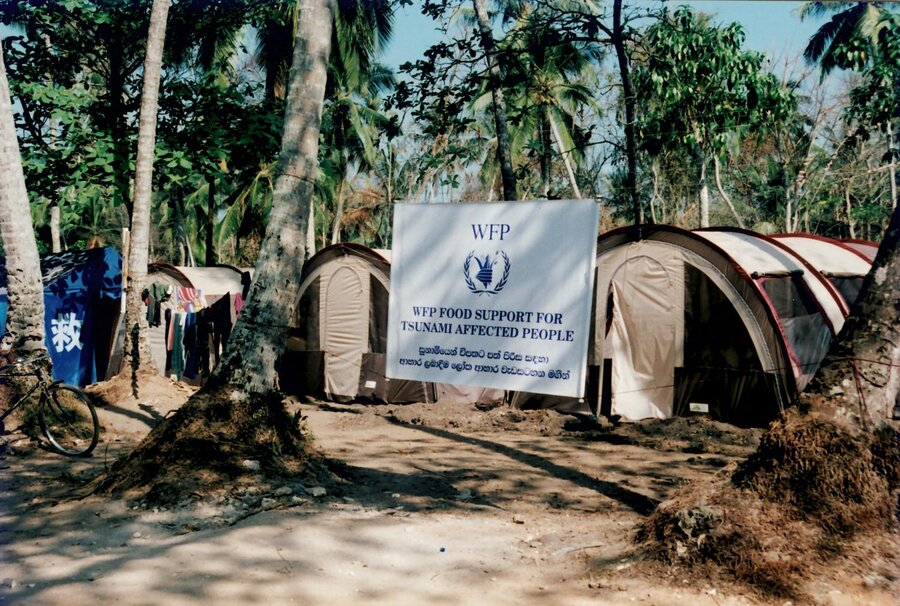 A clearing among talk trees, curvy tends and a big WFP sign announcing assistance for displaced people