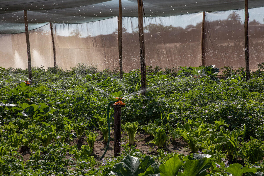 WFP and partners are delivers clean, sustainable water solutions - like this solar-powered irrigation scheme - to rural communities in Madagascar and beyond.  Photo: Gabriela Vivacqua