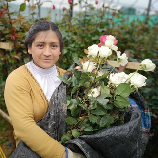 a women is holding a bunch of roses at her hands