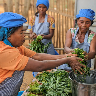 Three women are preparing food with vegetables