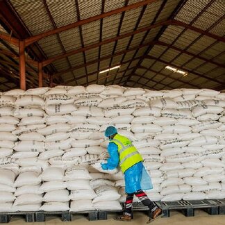 WFP warehouse workers preparing bags of food items for distribution with the rickshaws.