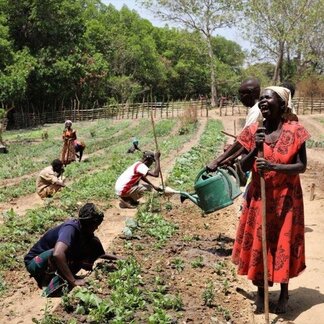 Farmers working in a field