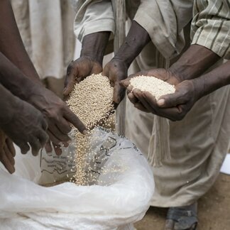 Farmers holding freshly harvested legumes from WFP-supported farms