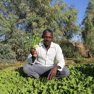Abdelkareem Haroon, who worked on the school garden holding Rocca Leaves, which is grown in the garden.