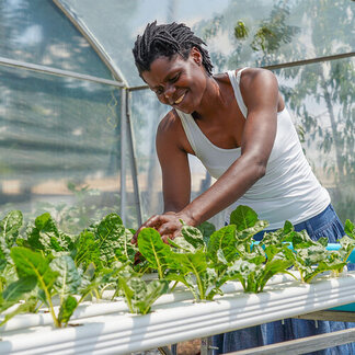 A man in a greenhouse