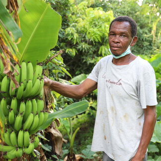 A farmer with his banana plants