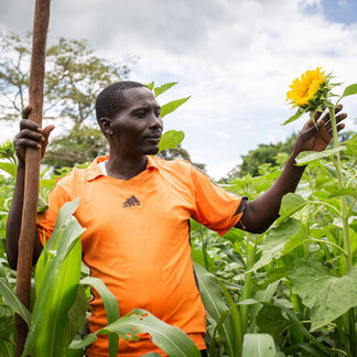 A man is holding a sunflower in a field