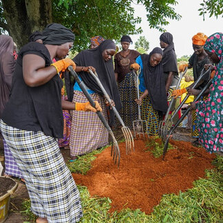 Women working on their fields. Photo: WFP/Mamadou Jallow