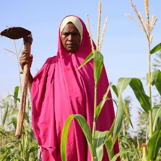 Sustainable livelihoods farming project in Dollow, Somalia. Photo credit: WFP/Geneva Costopulos