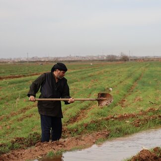 Mahmoud a farmer from Rural Aleppo irrigating his wheat field from the water after WFP intervention in fixing the canals. Photo: © WFP/Hussam Al Saleh.