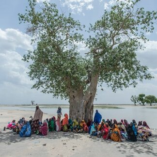 People gathered under a tree. Photo: WFP/Rein Skullerud