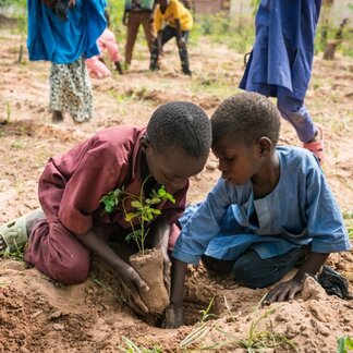 two children and planting veggies 