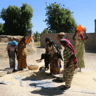 Women working in a round supported by WFP's resilience-building programs in Cameroon