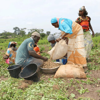 Farmers on their field with support from WFP to improve food production in Cameroon