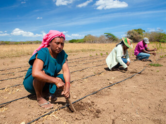 Women farming with support provided by WFP's programmes to improve food security and nutrition in Colombia