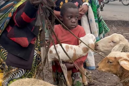 Conflict in DR Congo Becoming a Regional Crisis as Thousands Flee into Neighbouring Countries (ForTheMedia)